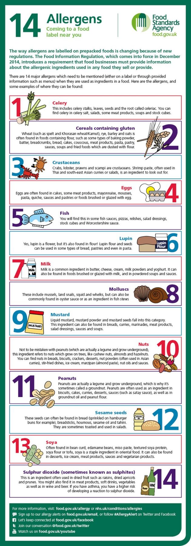 GS-14-Allergens